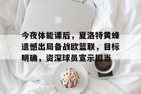 爱游戏登陆入口-今夜体能课后，夏洛特黄蜂遗憾出局备战欧篮联，目标明确，资深球员宣示担当的简单介绍